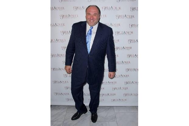 ...auch James Gandolfini, der nach der vierten Staffel der 'Sopranos' pro Folge zwischen einer und zwei Millionen US-Dollar ...
