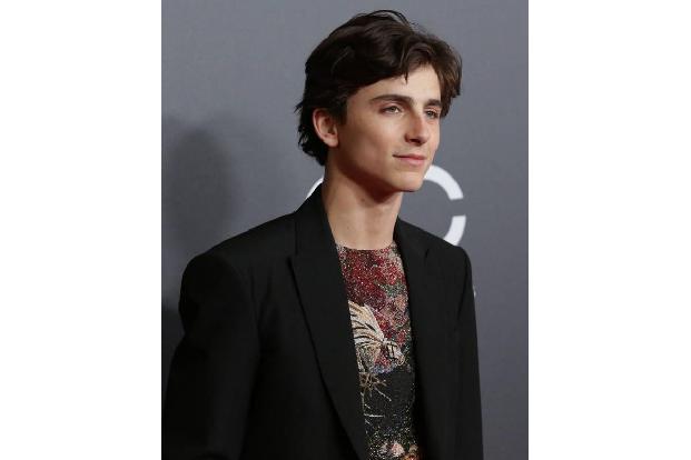 ...Timothée Chalamet, der mit 'Call Me By Your Name' und 'Lady Bird' einen raketenhaften Erfolg hingelegt hatte und in Deuts...
