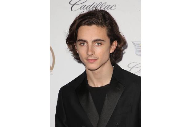 ...Timothée Chalamet für Call Me By Your Name' sind noch relativ unbeschriebene Blätter in Hollywood. Chancen haben die jetz...