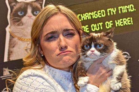 Besitzerin Tabatha Bundesen wird Grumpy Cat sicher schmerzlich vermissen