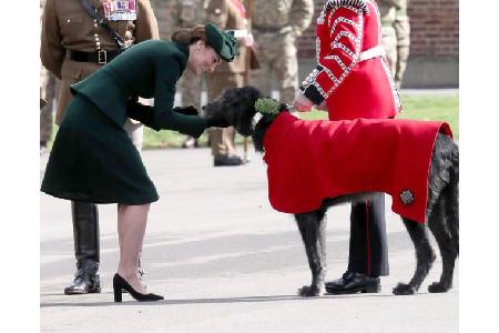 ...wird mit Sicherheit die Begegnung mit dem irischen Wolfshund Domhnall gewesen sein. Die Herzogin kennt das Regimentsmasko...