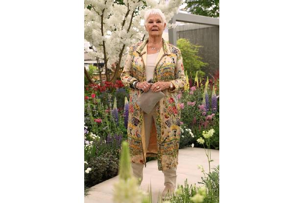 ...Judi Dench verboten: 'Rente' und 'alt'. Sie bevorzuge stattdessen das Wort 'enthusiastisch'. Nur weil sie die 80 überschr...