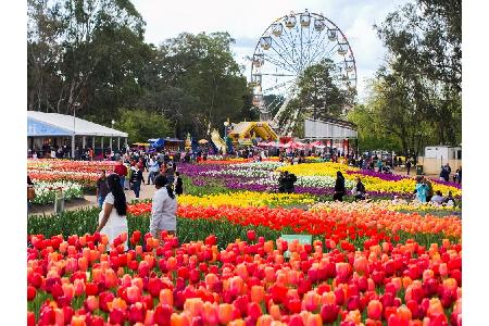 Das Blumenfestival 