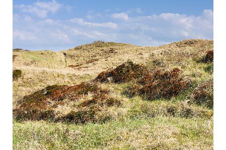 Was für ein Kontrast, wenn man nach den monströsen, weißen Felsen einen Blick auf die grasbewachsenen Dünenlandschaften Nord...