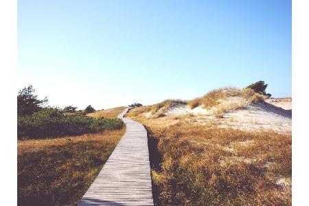 Zurück an die Ostsee, in den Nationalpark Vorpommersche Boddenlandschaft. Der drittgrößte Nationalpark Deutschlands ist im s...