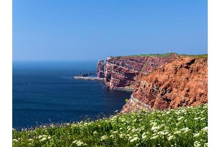 Gänzlich anders ist die Natur auf Helgoland. Endlos weite Blumenwiesen und schroffe, rote Klippen laden zum Verweilen ein. H...