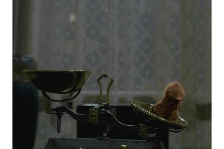 Newt Scamander hat zuhause jetzt auch Niffler-Nachwuchs.