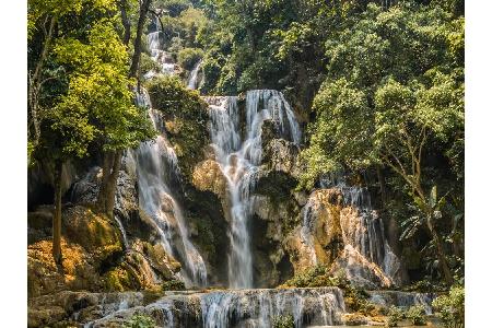 Für Dschungel-Feeling muss man nicht erst in den Amazonas reisen. Der Schwarzwald tut's auch. Die Triberger Wasserfälle stür...
