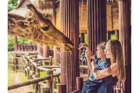 Ob Groß oder Klein: Zoos und Tierparks erfreuen sich in jeder Altersstufe großer Beliebtheit. Im Rahmen der 