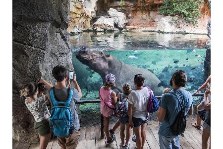 Platz 9: Bioparc Valencia, Spanien. Der erste von insgesamt sechs (!) europäischen Zoos in den Top 10 befindet sich auf der ...