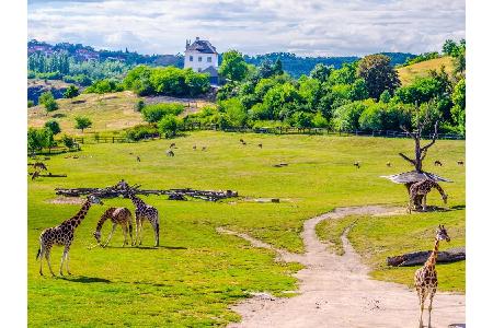 Platz 5: Prager Zoo, Tschechien. Auch der größte Zoo unseres östlichen Nachbarn hat es in die Auswahl der Besten geschafft. ...