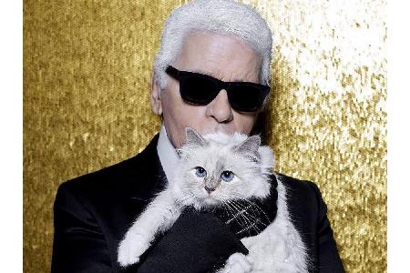 2011 bekam Karl Lagerfeld (84) seine weiße Birma-Katze Choupette von dem Model Baptiste Giabiconi (28) geschenkt. Die Katze ... 2011 bekam Karl Lagerfeld (84) seine weiße Birma-Katze Choupette von dem Model Baptiste Giabiconi (28) geschenkt. Die Katze ...