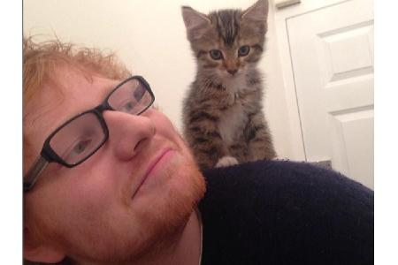 Ed Sheeran (27) war schon immer ein Katzen-Liebhaber. Jetzt hat er seinen beiden Lieblingen Calippo und Dorito sogar einen I...