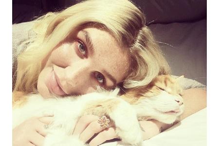 Sängerin Kesha (31) liebt ihre Katzen so sehr, dass sie sie bei jeder Gelegenheit sogar mit in den Urlaub nimmt. Irgendwann ...