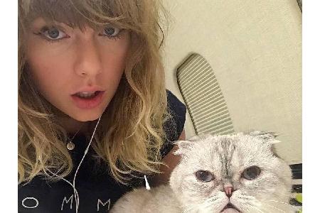 Taylor Swift ist DIE Katzen-Lady unter den Stars. Ihre beiden Schätze Meredith Grey und Olivia Benson sind echte Social-Medi...