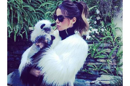 Auch Kate Beckinsale (45) teilt die schönsten Momente mit ihrem Kater Clive auf Instagram. Hier tragen die beiden Partnerloo...