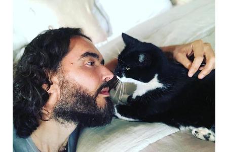 Russell Brand (43) kuschelt besonders gerne mit seinem Kater Morrissey. Auch sonst ist der Ex-Mann von Katy Perry ganz verrü...