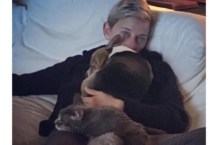Während Ellen DeGeneres (60) die Zuschauer ihrer Show zum Lachen bringt, wird die Komikerin selbst durch ihre Haustiere bei ...