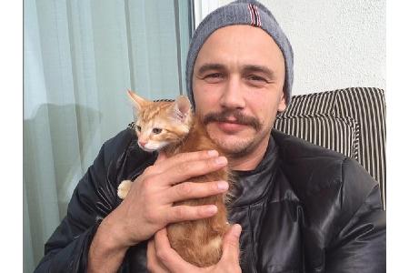 Selbst harte Männer wie James Franco (40) werden plötzlich weich, wenn sie eine kleine Katze in die Finger bekommen.