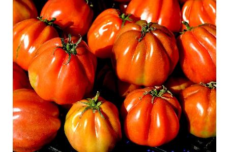 Tomaten enthalten zum einen Kalium, das entwässernd wirkt und somit die Gewichtsabnahme fördert. Außerdem sind sie reich an ...