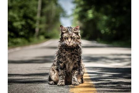 Hollywood hat sich auch für das Filmjahr 2019 wieder bei einigen bekannten Autoren bedient und bringt Bestseller auf die gro... Hollywood hat sich auch für das Filmjahr 2019 wieder bei einigen bekannten Autoren bedient und bringt Bestseller auf die gro...