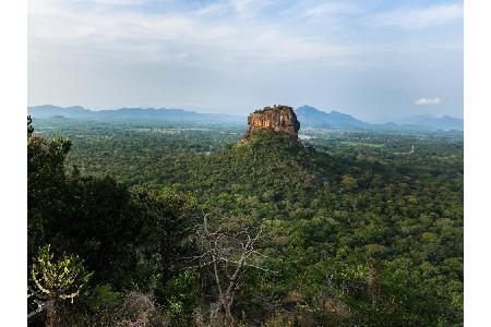 Irgendwie wirkt es, als hätte sich der Sigiriya auf seinem Weg zu den größeren Felsketten verfahren. Mitten in einer Ebene e...