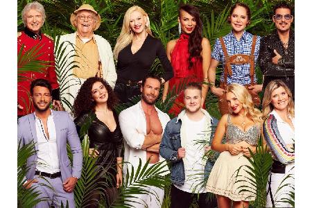 Endlich, die Kandidaten für das Dschungelcamp 2019 stehen fest: Diese zwölf Stars sind dabei.