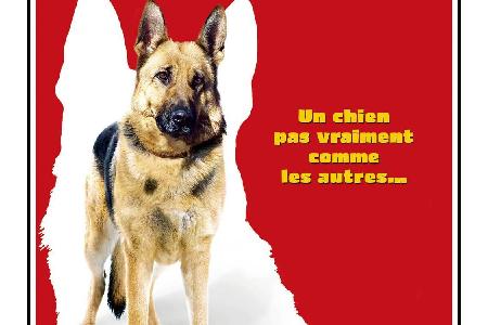 Rin Tin Tin brachte Warner Bros. so viel Geld ein, dass er maßgeblich zur Rettung des fast bankrotten Studios beitrug. Er se...