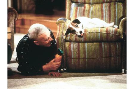 Auch Jack Russell Terrier Moose gehört zu den tierischen Serien-Stars: Er spielte Eddie in der Sitcom 