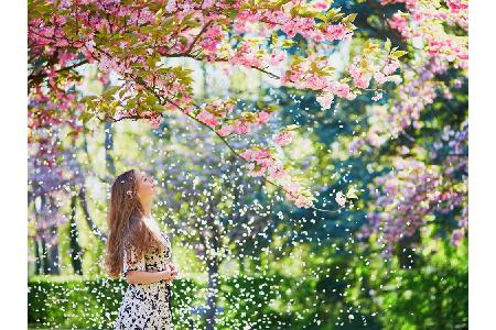 Spätestens wenn es Kirschblüten regnet, ist der Frühling da. Aber auch zum kalendarischen Frühlingsanfang am 20. März wecken...