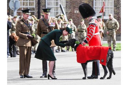 Weniger knallig, dafür umso eleganter war ihr Look zum diesjährigen St. Patrick's Day. Kate würdigte den irischen Nationalfe...