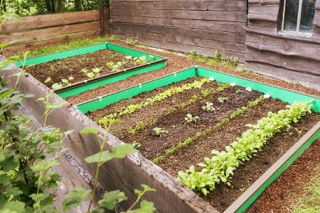 Tipps gegen Schnecken: Schneckenzaun