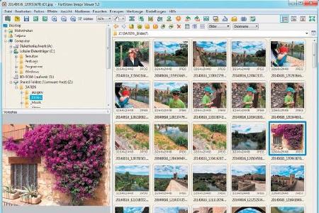 Organisationswunder: Im Faststone Image Viewer zeigt die Thumbnail-Vorschau Verkleinerungen der im gewünschten Ordner vorhan...