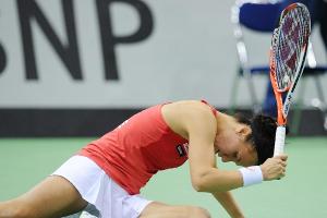 Bitter für Hingis: Schweizer Traum vom Fed-Cup-Finale geplatzt