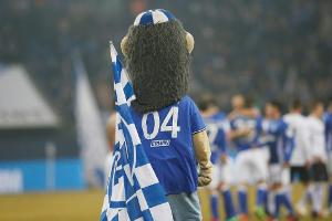 Fußball-Maskottchen als Aufreger: Pinkelnde Biene, prügelnder Elefant, beschwipster Löwe