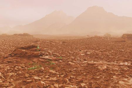 Tesla Roadster endlich auf dem Mars gelandet (in diesen düsteren Renderings)