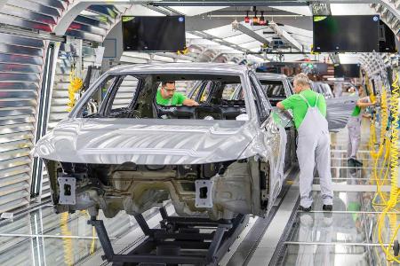 VW Golf 8 glänzt in Mega-Galerie mit mehr als 200 Bildern