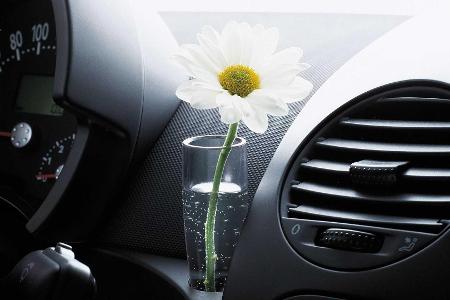 VW New Beetle (1997-2010): Klassiker der Zukunft?
