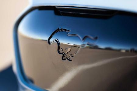 Ford Mustang Mach-E 1400: Superstarke Rennmaschine