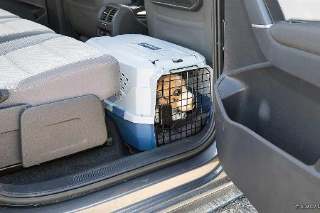 Hund im Auto unbedingt sichern: Der ADAC gibt Tipps