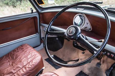 Mini Wildgoose (1965): Wohnliche Wildgans