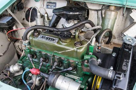 Mini Wildgoose (1965): Wohnliche Wildgans