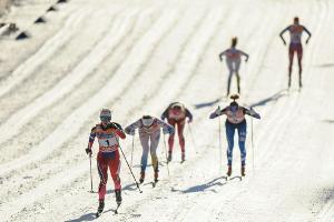 Erstmals Skilanglauf-Weltcup in Dresden