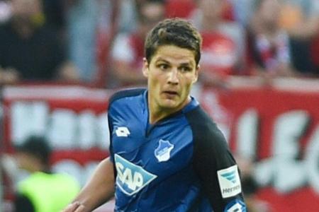 Schwegler wechselt von Hoffenheim zu Hannover 96