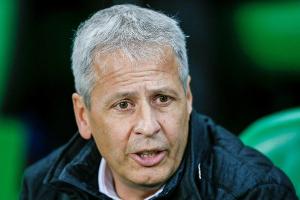 Bild: Lucien Favre weitgehend einig mit Dortmund