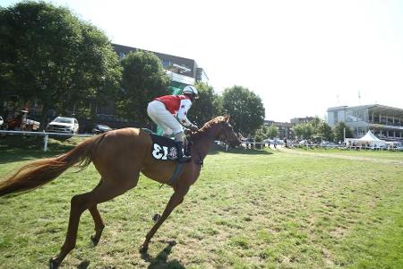 Wöhler-Pferd gewinnt Galopp-Klassiker in Köln