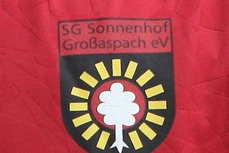 3. Liga: Großaspach holt Angreifer Sané 3. Liga: Großaspach holt Angreifer Sané