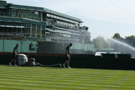 Wimbledon: All England Club weist Kritk an Rasenplätzen zurück