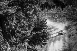 Streckenrichter stirbt bei Rallye-Unfall in Italien