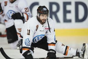 Fragen und Antworten zur Deutschen Eishockey Liga (DEL)
